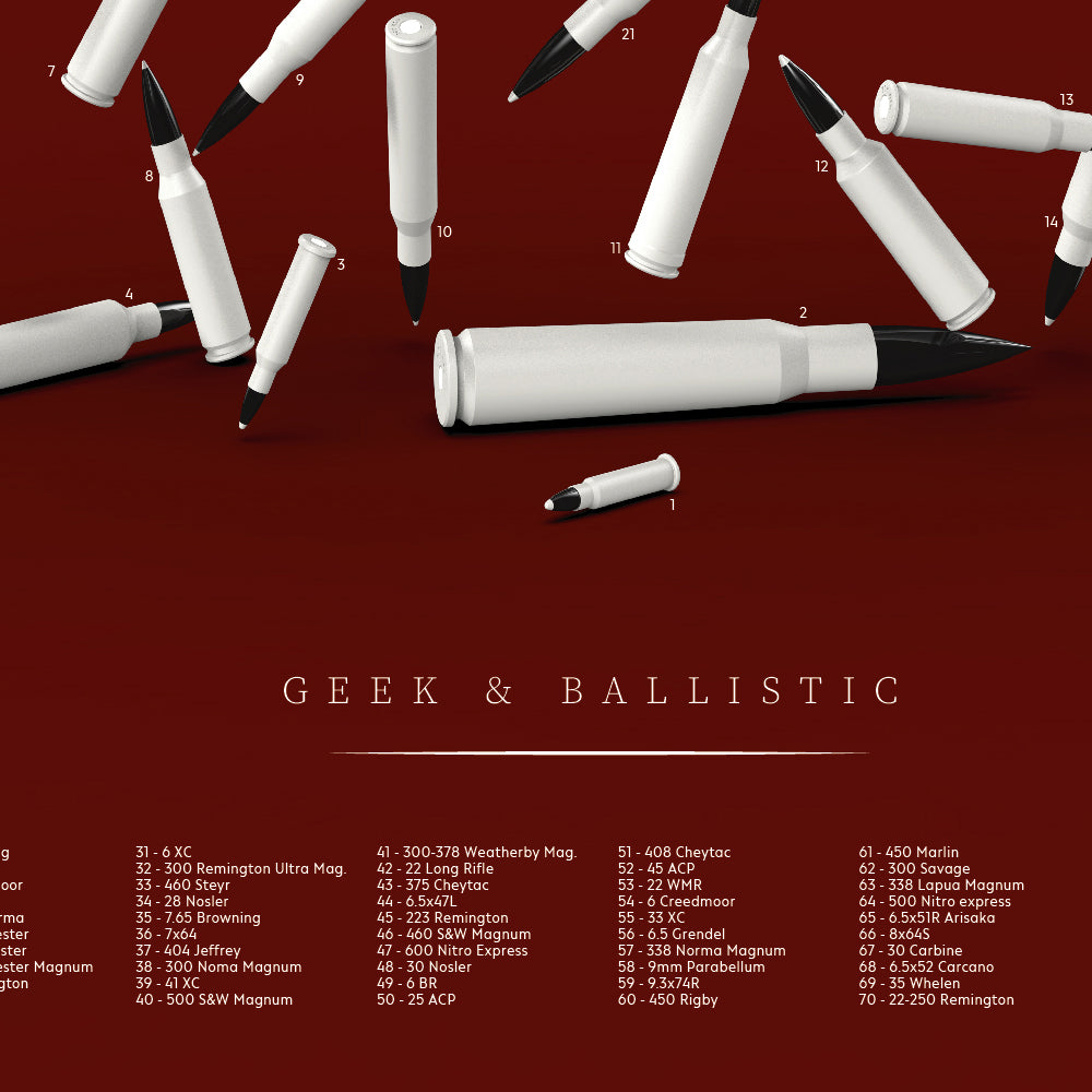 POSTER "100 calibers"