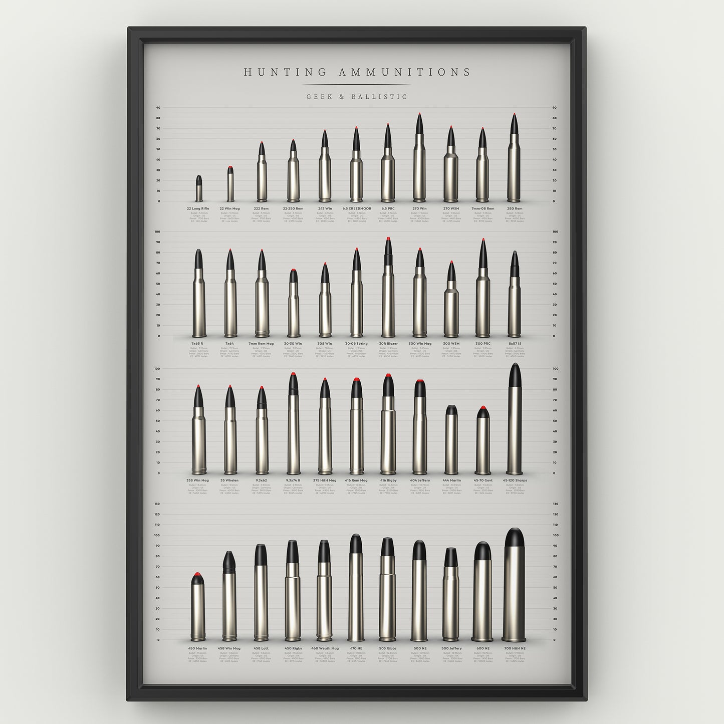 POSTER Munitions de chasse