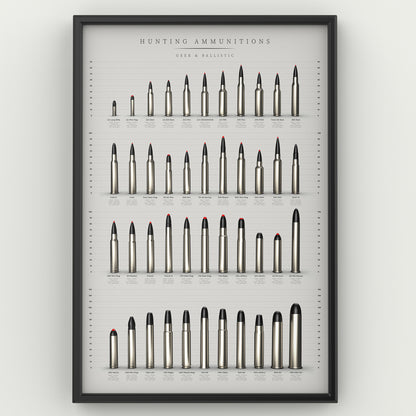 POSTER Munitions de chasse