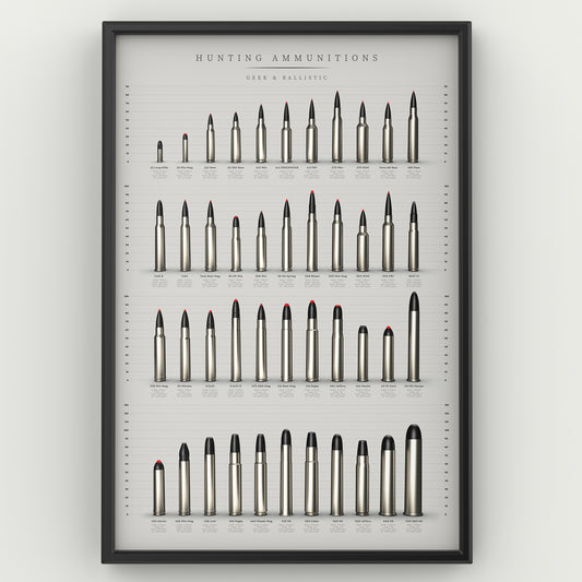 POSTER Munitions de chasse