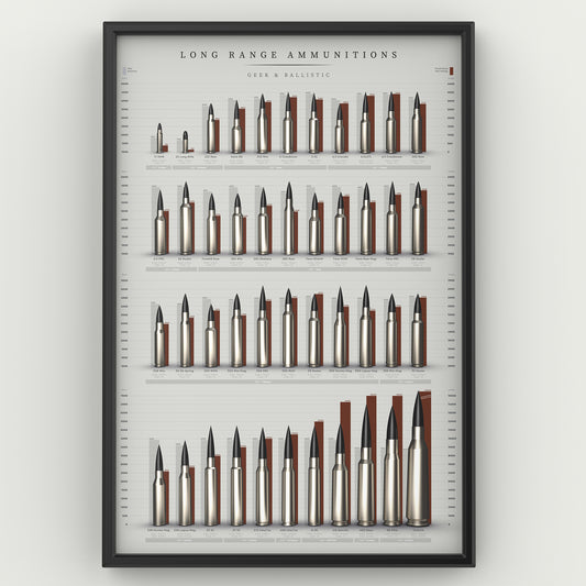 POSTER Long Range Ammunitons