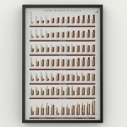 POSTER Long Range Bullets