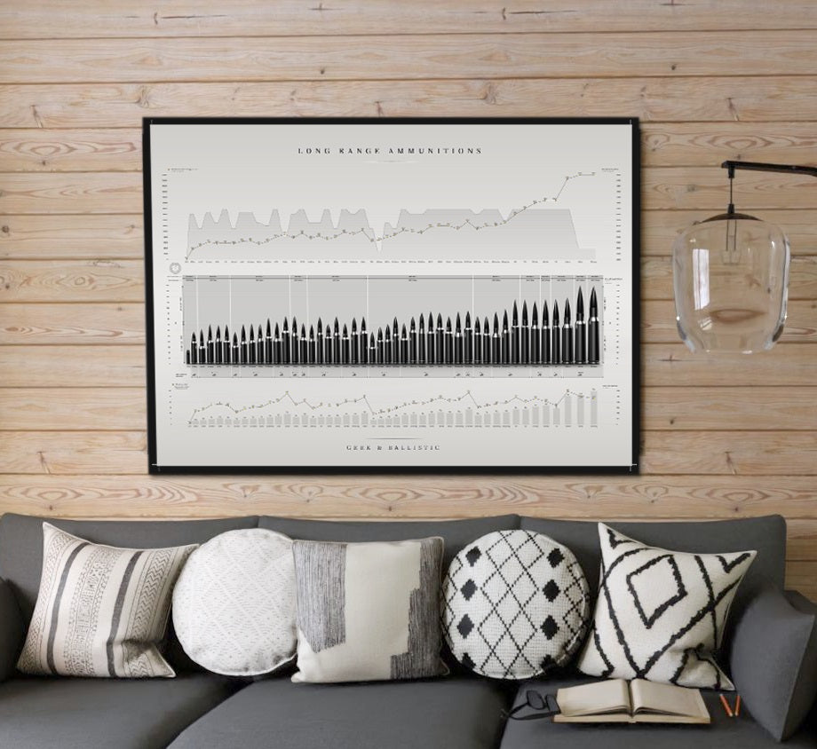 Poster munitions de tir longue distance (TLD)