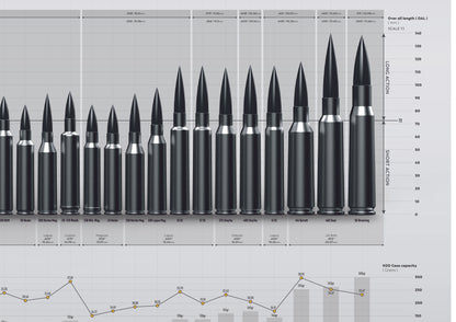 Poster munitions de tir longue distance (TLD)