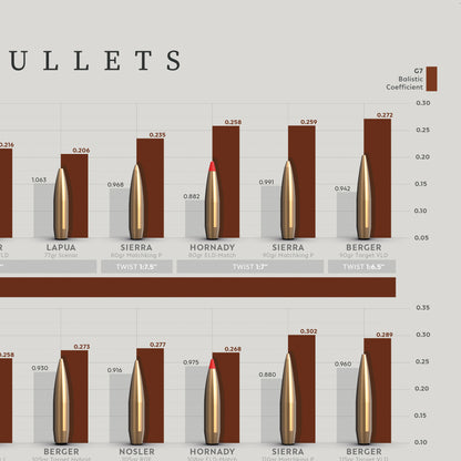 POSTER Long Range Bullets