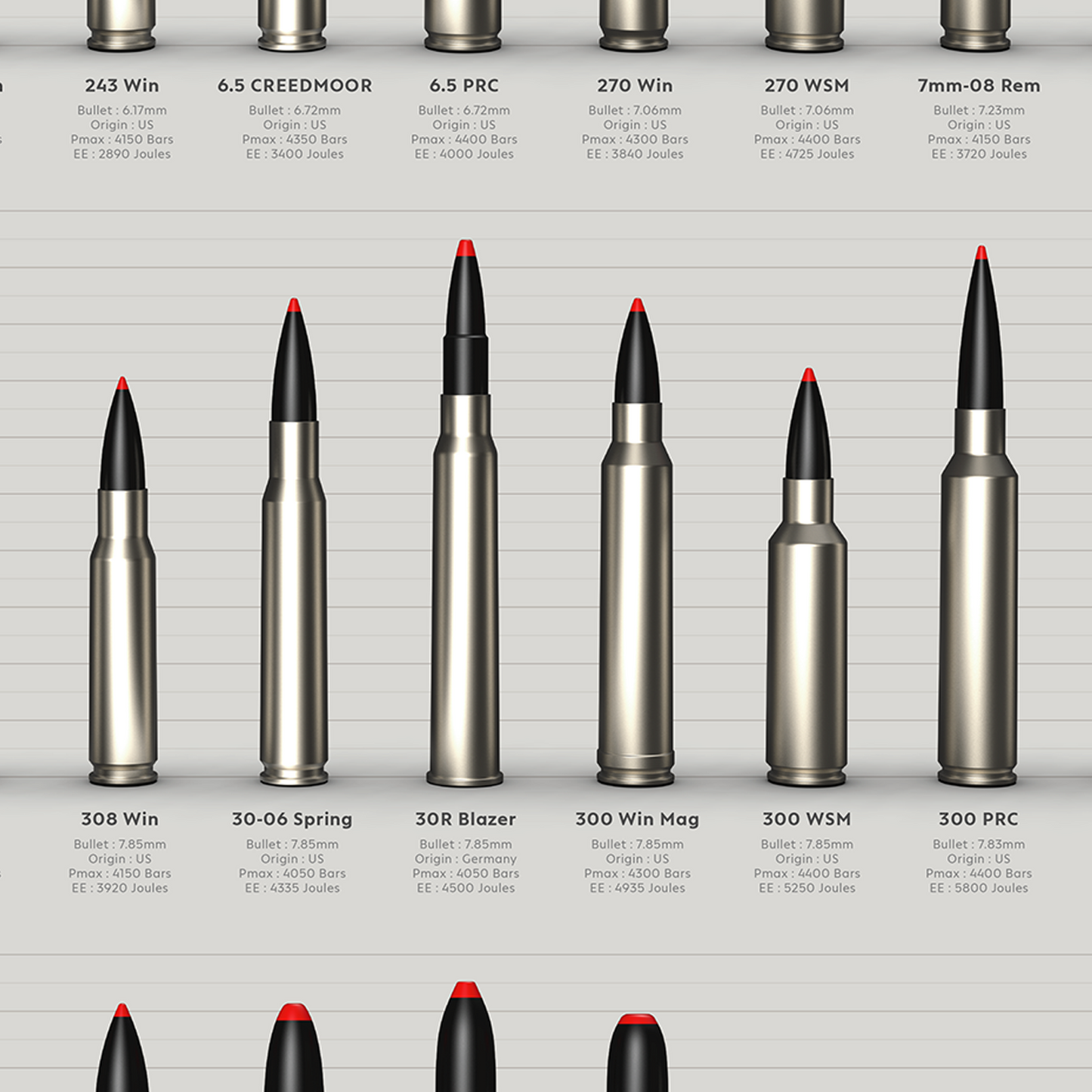 POSTER Munitions de chasse