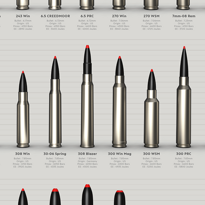 POSTER Munitions de chasse