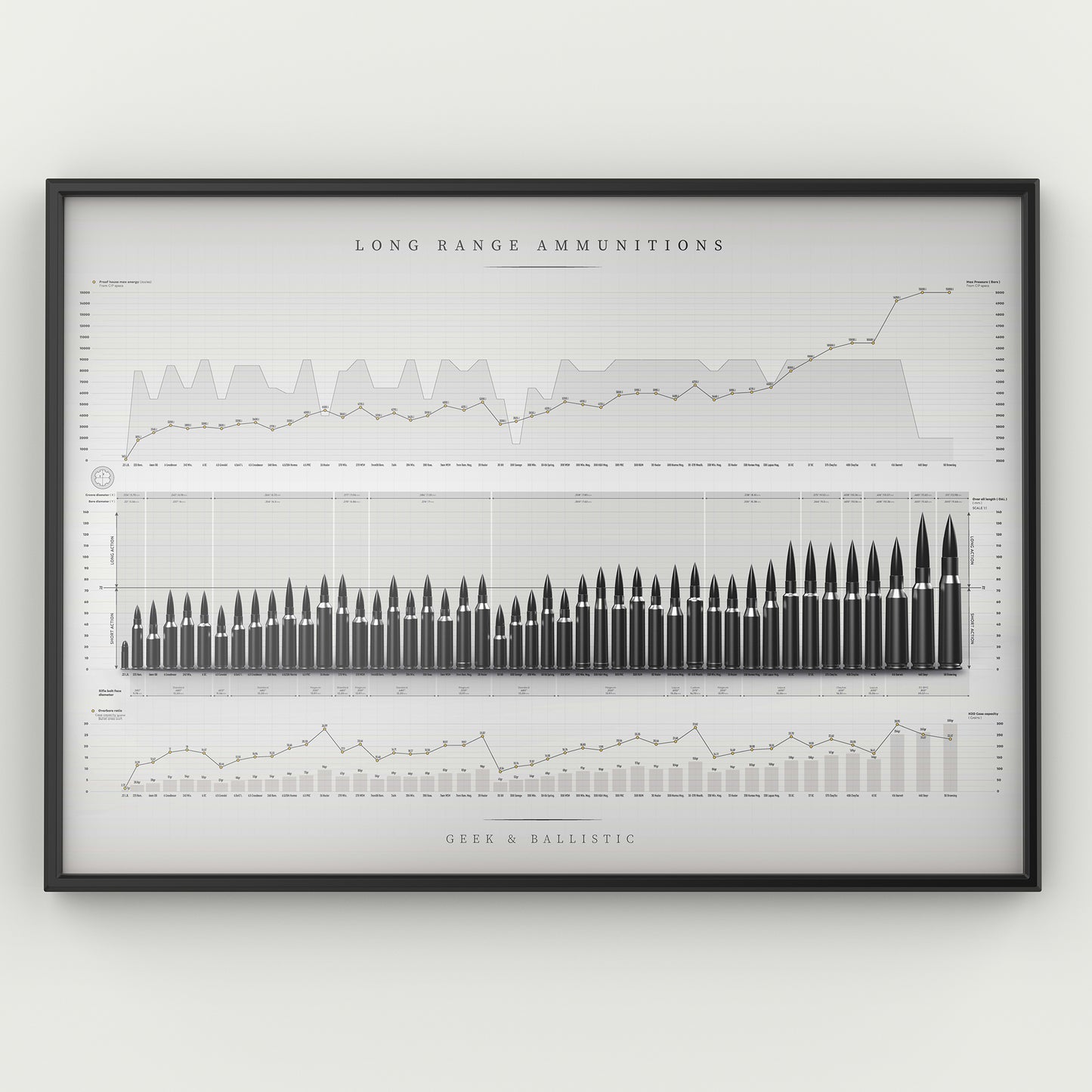 Poster Long Range Shooting (LRT) Ammunition