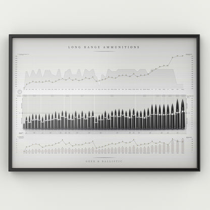 Poster munitions de tir longue distance (TLD)