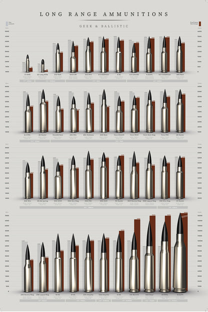 POSTER Long Range Ammunitons