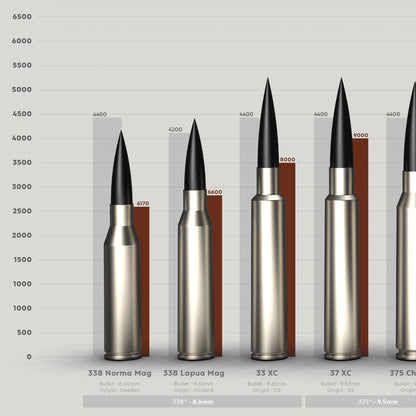 POSTER Long Range Ammunitons